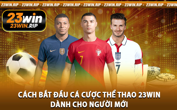 Cách Bắt Đầu Cá Cược Thể Thao 23WIN Dành Cho Người Mới